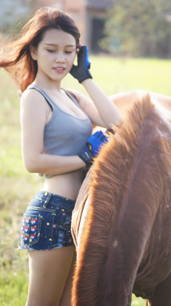 小向美奈子在线播放